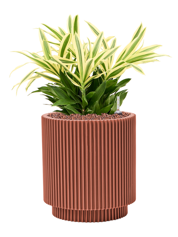 Pot nature groove special cylinder rouge