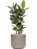 Pot doric cylinder grise