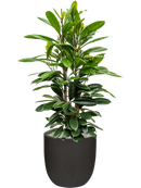 Pot urban smooth couple noire