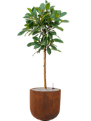 Pot static couple marron