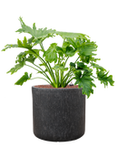 Pot raindrop cylinder anthracite