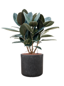 Pot raindrop cylinder anthracite