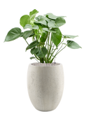 Pot grigio emperor beige