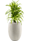 Pot grigio emperor beige