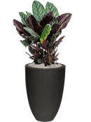 Pot urban smooth partner noire