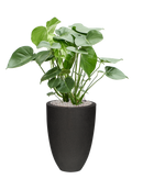 Pot urban smooth partner noire