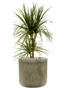 Pot vertical rib cylinder verte