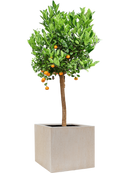 Pot raindrop cube beige