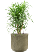 Pot vertical rib cylinder verte