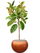 Pot metallic globe bronze