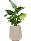 Pot raindrop darcy beige