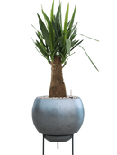 Pot metallic sur pieds bleue