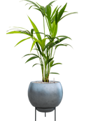 Pot metallic sur pieds bleue