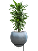 Pot metallic sur pieds bleue