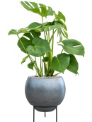 Pot metallic sur pieds bleue