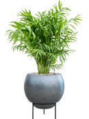 Pot metallic sur pieds bleue