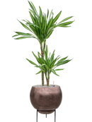 Pot metallic sur pieds marron