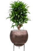 Pot metallic sur pieds marron