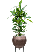 Pot metallic sur pieds marron