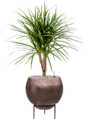 Pot metallic sur pieds marron