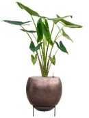 Pot metallic sur pieds marron