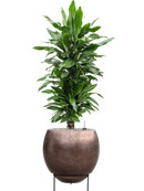 Pot metallic sur pieds marron