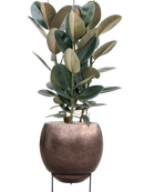 Pot metallic sur pieds marron