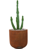 Pot static couple marron