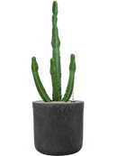 Pot raindrop cylinder anthracite