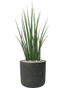 Pot rough cylinder noire