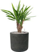 Pot rough cylinder noire