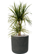 Pot rough cylinder noire