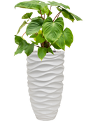 Pot luxe lite partner blanche