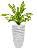 Pot luxe lite partner blanche