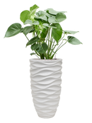 Pot luxe lite partner blanche