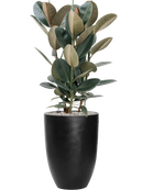 Pot natural partner noire