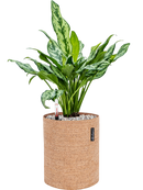 Pot trendcover cylinder marron