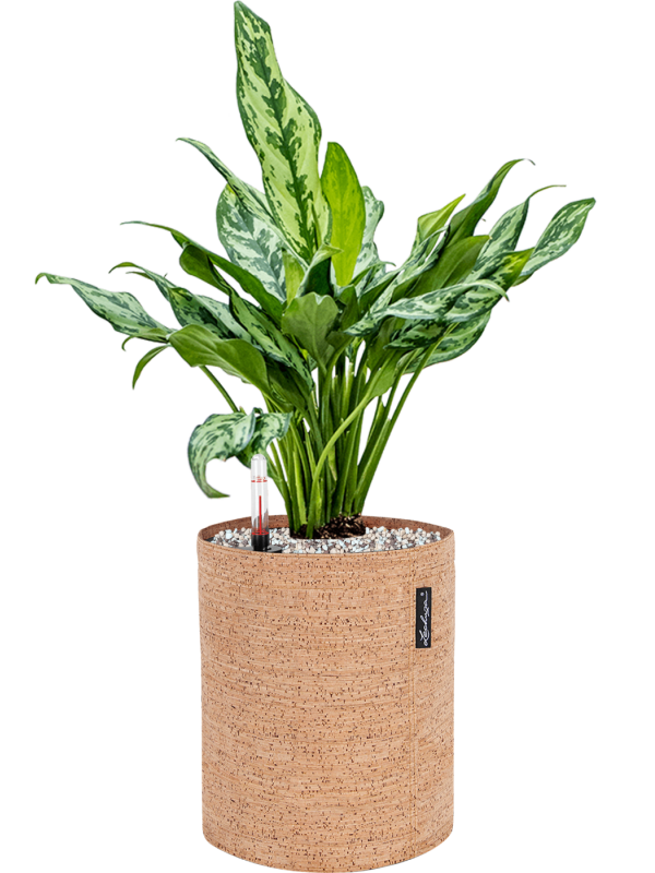 Pot trendcover cylinder marron