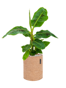 Pot trendcover cylinder marron