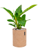 Pot trendcover cylinder marron