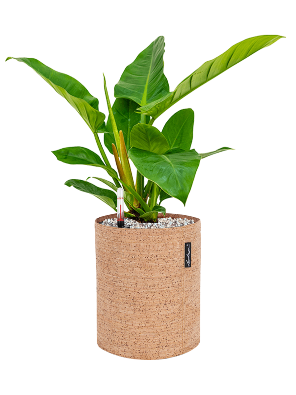 Pot trendcover cylinder marron