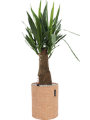 Pot trendcover cylinder marron