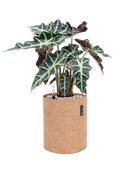 Pot trendcover cylinder marron