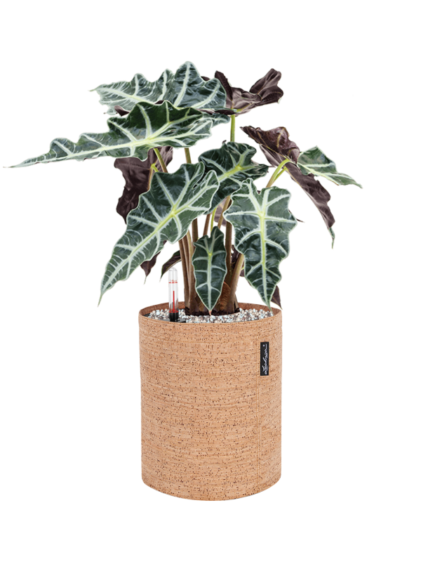 Pot trendcover cylinder marron