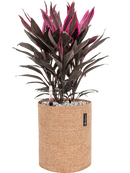 Pot trendcover cylinder marron