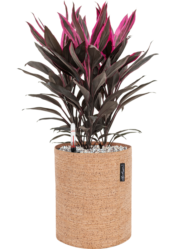 Pot trendcover cylinder marron