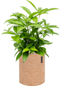 Pot trendcover cylinder marron