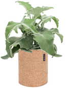 Pot trendcover cylinder marron