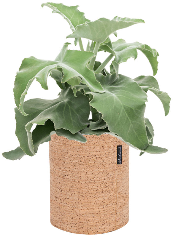 Pot trendcover cylinder marron