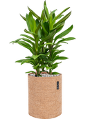 Pot trendcover cylinder marron